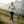 Top termoaktywny Active Top 140 damski, kolor Green Engelberg, wełna merynosów, Fjork Merino