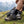 Skarpety Treck 90, zestaw 3 par, wełna merynosów, Fjork Merino